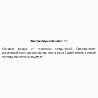 Эпипремнум ø15 h25 см