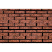 Кирпич облицовочный Керма M200 lava hard рустик 250x120x65 мм 1 НФ