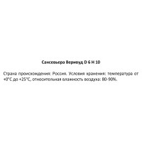 Сансевьера Вернвуд ø6 h10 см