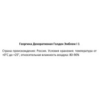 Георгина декоративная Голден Эмблем 100 мм