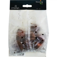 Гладиолус гофрированный Чамберри 100 мм