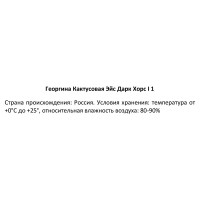 Георгина кактусовая Эйс Дарк Хорс 100 мм