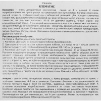 Клематис ботанический Минуэт ø5 h10 см