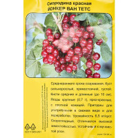 Смородина красная Йонкер Ван Тетс пакет h35 см