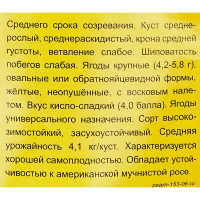 Крыжовник русский желтый пакет h35 см