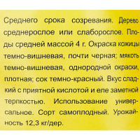 Вишня Хуторянка пакет h50 см