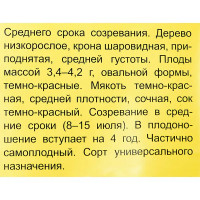Вишня Быстринка пакет h50 см