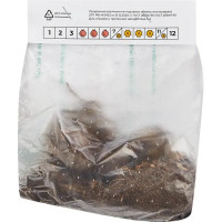 Георгина Ребекка Ворд разбор II