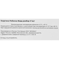 Георгина Ребекка Ворд разбор II