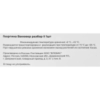 Георгина Вакювер разбор II