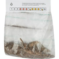 Георгина Икарус разбор II