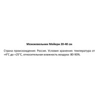 Можжевельник Мейери h20 - 40 см