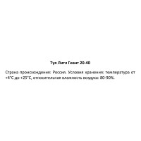 Туя Литл Гиант h20 - 40 см