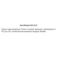 Алоэ Витра ø8.5 h15 см