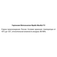 Гортензия метельчатая Фрайз Мелба ø9 h30 см