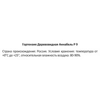 Гортензия древовидная Аннабель ø9 h30 см