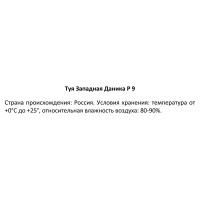 Туя западная Даника ø9 h80 см
