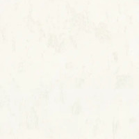 Обои флизелиновые Euro Decor Stella бежевые 1.06 м ED7254-00