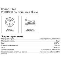 Ковер Тач 250x350 см полипропилен 83915_56 цвет бежевый