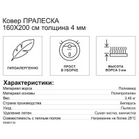 Ковер Пралеска 160x200 см полиамид P2863/А2/124 цвет серо-белый