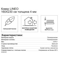 Ковер-циновка Lineo 160x230 см полипропилен B163/T101 цвет белый