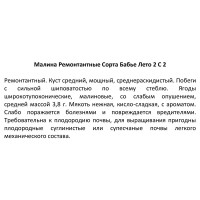 Малина ремонтантные сорта .в сортах (V2-3л)