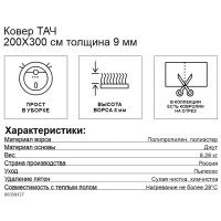 Ковер Тач 200x300 см полипропилен 83906_62 цвет бежевый