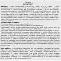 Клематис ботанический Вайт Арабелла ø5 h10 см