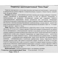 Гладиолус крупноцветковый Пинк Леди 100 мм