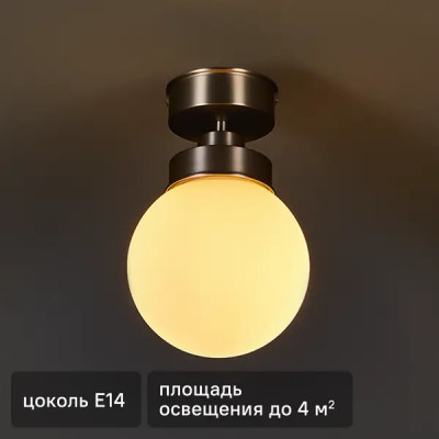 Светильник потолочный Kron FR5339CL-01N влагозащищенный по лампу цвет серебро