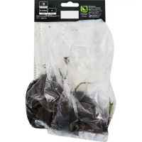 Морозник восточный Дабл Элен Пинк