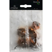 Гладиолус гофрированный Димитрий Солунский 100 мм