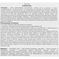 Клематис крупноцветковый Мармори ø5 h10 см
