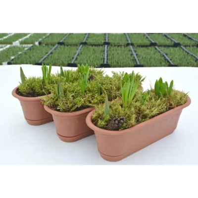 Весенний микс ø17 h15 - 25 см