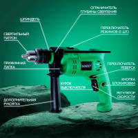Дрель сетевая ударная Oasis Eco DU-60, 600 Вт