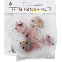 Гладиолус Плюмтарт луковицы 10/12, 5 шт.