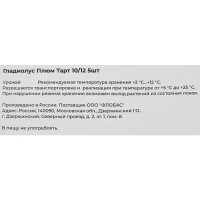 Гладиолус Плюмтарт луковицы 10/12, 5 шт.