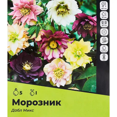 Морозник Дабл микс разбор I 3 шт.