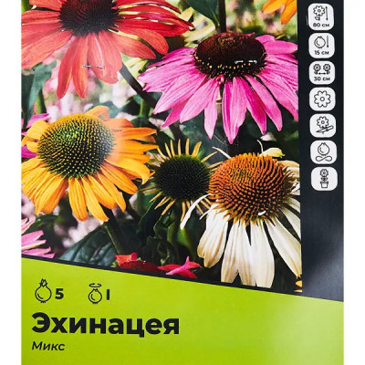 Эхинацея микс разбор I 5 шт.