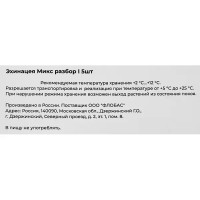 Эхинацея микс разбор I 5 шт.