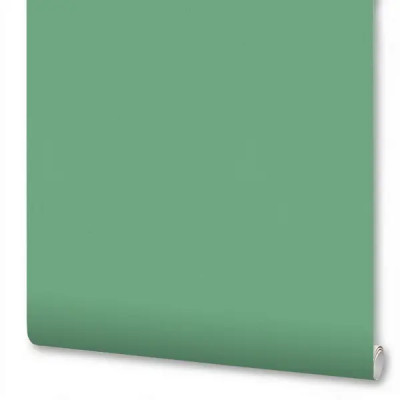 Обои флизелиновые Wallsecret Safari зеленые 1.06 м 8904-08