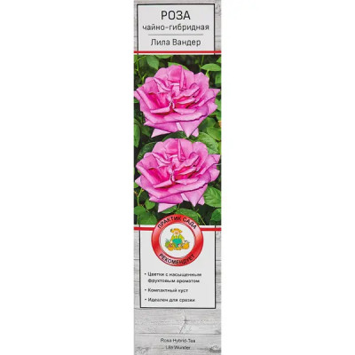 Розы чайно-гибридные «Лилла Вондер»