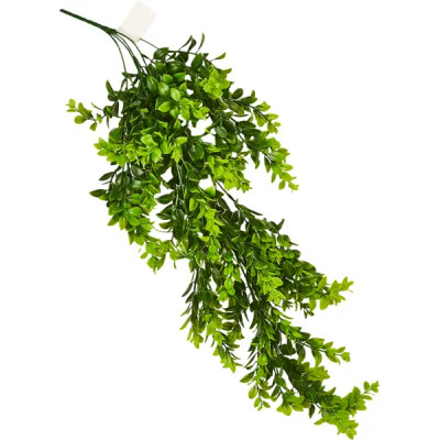 Искусственное растение Фиттония 40x7 см цвет зеленый ПВХ