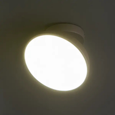 Светильник потолочный 20023SMA/01 цвет серый