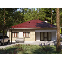 Снегозадержатель для металлической кровли трубчатый Эко 3 м RAL 3005 красный