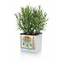 Кашпо для цветов Lechuza Кьюб колор 13580 с автополивом ø16 см пластик белый