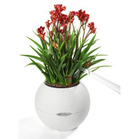 Кашпо для цветов Lechuza Пуро 13360 ø20 см пластик белый