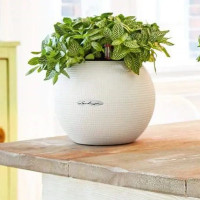 Кашпо для цветов Lechuza Пуро 13360 ø20 см пластик белый