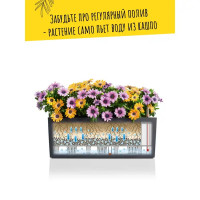 Кашпо Lechuza для цветов Балконера Колор 15670 с автополивом 50x19x19 см v8 л пластик белый