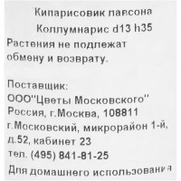 Кипарисовик Лавсона «Коллумнарис» 1 л h35 см